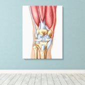 Anatomie des Kniegelenks Leinwanddruck (Insitu (Holzboden))