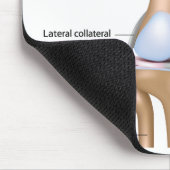 Anatomie des Kniegelenks Mousepad (Ecke)
