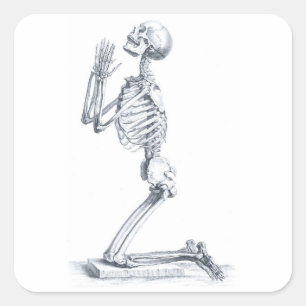 Anatomie des Knochenaufklebers Quadratischer Aufkleber