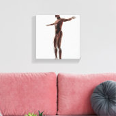 Anatomie des männlichen Muskelsystems, Seitenansic Leinwanddruck (Insitu (Wohnzimmer))