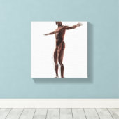 Anatomie des männlichen Muskelsystems, Seitenansic Leinwanddruck (Insitu (Holzboden))