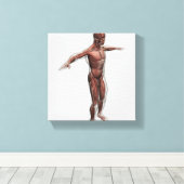 Anatomie des männlichen Muskelsystems, Seitenansic Leinwanddruck (Insitu (Holzboden))