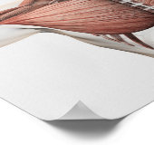 Anatomie des männlichen Muskelsystems, Seitenansic Poster (Ecke)