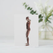 Anatomie des männlichen Muskelsystems, Seitenansic Postkarte (Stehend Vorderseite)