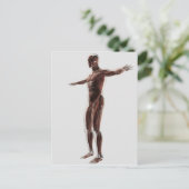 Anatomie des männlichen Muskelsystems, Seitenansic Postkarte (Stehend Vorderseite)