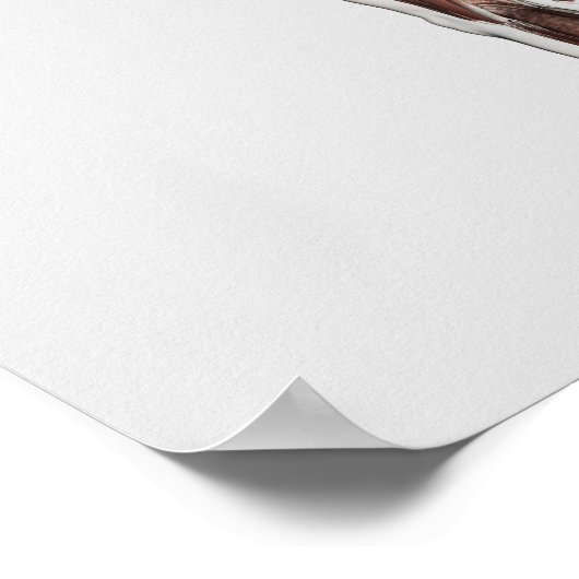 Anatomie des männlichen Muskelsystems, Sicht nach Poster (Ecke)