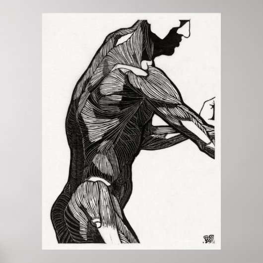 Anatomie des Menschen 4 Poster (Vorne)