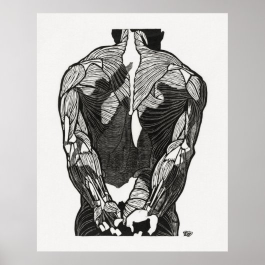 Anatomie des Menschen 5 Poster (Vorne)