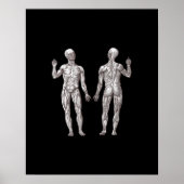 Anatomie des Menschen - Das Muskelsystem Poster (Vorne)