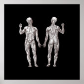 Anatomie des Menschen - Das Muskelsystem Poster (Vorne)