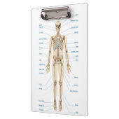 Anatomie des Menschen Klemmbrett (Links)