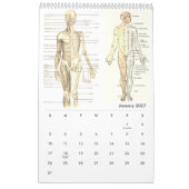 Anatomie des Menschen Medizinisches Diagramm Neuhe Kalender (Jan 2027)
