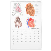 Anatomie des Menschen Medizinisches Diagramm Neuhe Kalender (Feb 2027)