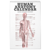 Anatomie des Menschen Medizinisches Diagramm Neuhe Kalender (Titelbild)