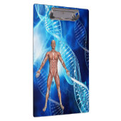 Anatomie des Menschen mit DNA-Strängen Klemmbrett (Rechts)