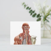 Anatomie des Menschen mit tiefen Muskeln im Nacken Postkarte (Stehend Vorderseite)