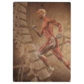 Anatomie des Menschen mit Wirbelsäule Klemmbrett (Rückseite)