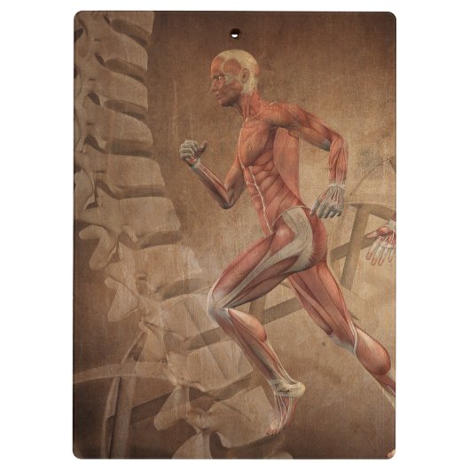 Anatomie des Menschen mit Wirbelsäule Klemmbrett (Rückseite)