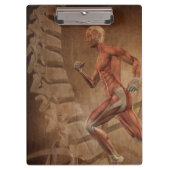 Anatomie des Menschen mit Wirbelsäule Klemmbrett (Vorderseite)