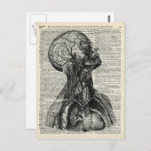 Anatomie des Menschen Postkarte (Vorne/Hinten)
