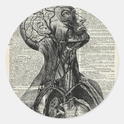 Anatomie des Menschen Runder Aufkleber (Vorderseite)