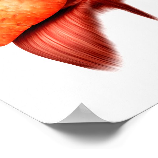 Anatomie des menschlichen Atemsystems, Frontansich Poster (Ecke)