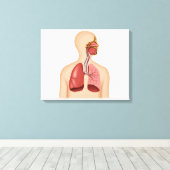 Anatomie des menschlichen Atemsystems Leinwanddruck (Insitu (Holzboden))