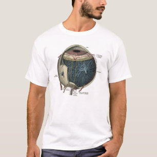 Anatomie des menschlichen Auges 1902 Vintag T-Shirt