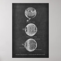Anatomie des menschlichen Auges Arterien des Choro