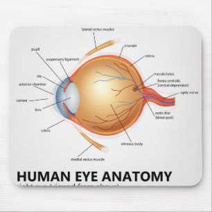 Anatomie des menschlichen Auges Mousepad