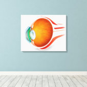 Anatomie des menschlichen Auges, Perspektive Leinwanddruck (Insitu (Holzboden))