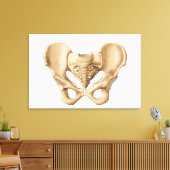 Anatomie des menschlichen Beckenknochens 1 Leinwanddruck (Insitu (Wohnzimmer))