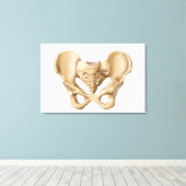 Anatomie des menschlichen Beckenknochens 1 Leinwanddruck (Insitu (Holzboden))