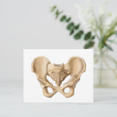 Anatomie des menschlichen Beckenknochens 1 Postkarte (Stehend Vorderseite)
