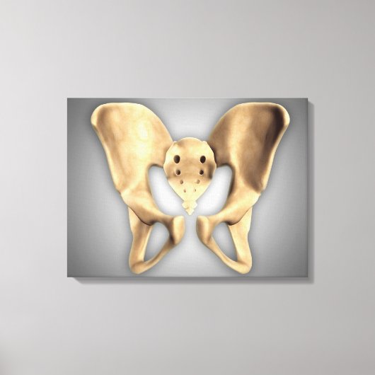 Anatomie des menschlichen Beckenknochens 2 Leinwanddruck (Vorderseite)