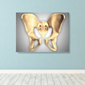 Anatomie des menschlichen Beckenknochens 2 Leinwanddruck (Insitu (Holzboden))