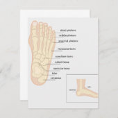 Anatomie des menschlichen Fußes Mitteilungskarte (Vorne/Hinten)