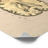 Anatomie des menschlichen Gehirns 1841 Print Poster (Ecke)