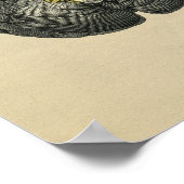 Anatomie des menschlichen Gehirns 1902 Vintag Poster (Ecke)