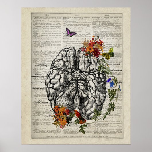 Anatomie des menschlichen Gehirns mit Blume Schmet Poster (Vorne)