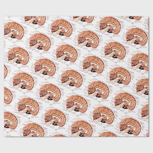 Anatomie des menschlichen Gehirns Neuheit Geschenkpapier (Flach)