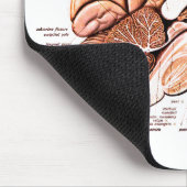 Anatomie des menschlichen Gehirns Neuheit Mousepad (Ecke)