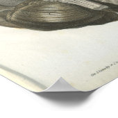 Anatomie des menschlichen Gehirns Poster (Ecke)