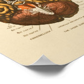 Anatomie des menschlichen Gehirns Poster (Ecke)