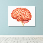 Anatomie des menschlichen Gehirns, Seitenansicht 2 Leinwanddruck (Insitu (Holzboden))