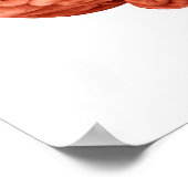 Anatomie des menschlichen Gehirns, Seitenansicht 2 Poster (Ecke)