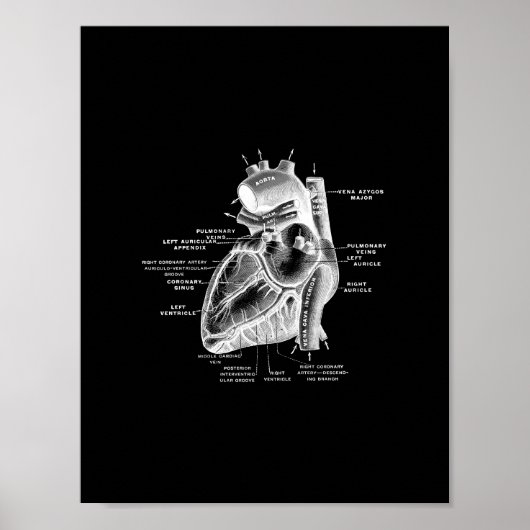 Anatomie des menschlichen Herzens in Schwarz und W Poster (Vorne)