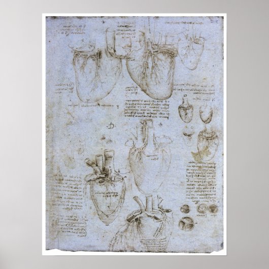 Anatomie des menschlichen Herzens, Leonardo da Vin Poster (Vorne)