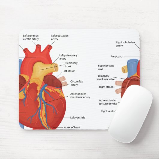 Anatomie des menschlichen Herzens Mousepad (Mit Mouse)