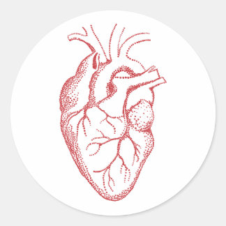 Anatomie des menschlichen Herzens zeichnend Runder Aufkleber